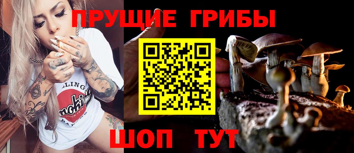Псилоцибиновые грибы Cubensis Карпинск
