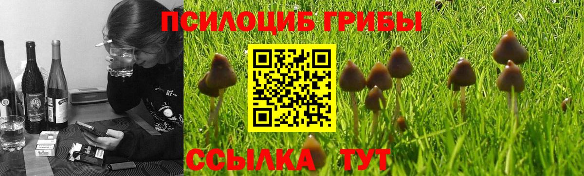 Псилоцибиновые грибы ЛСД  продажа наркотиков  Карпинск  Вход с VPN 